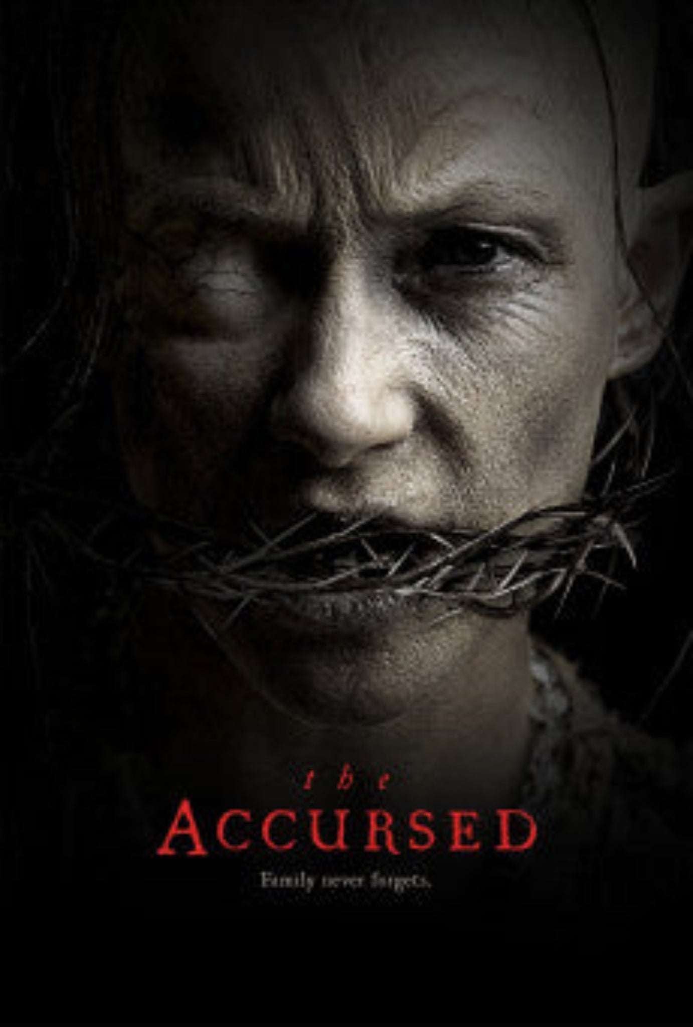 Accursed, The 2021 1h 38m ‧ Horror/Mystery