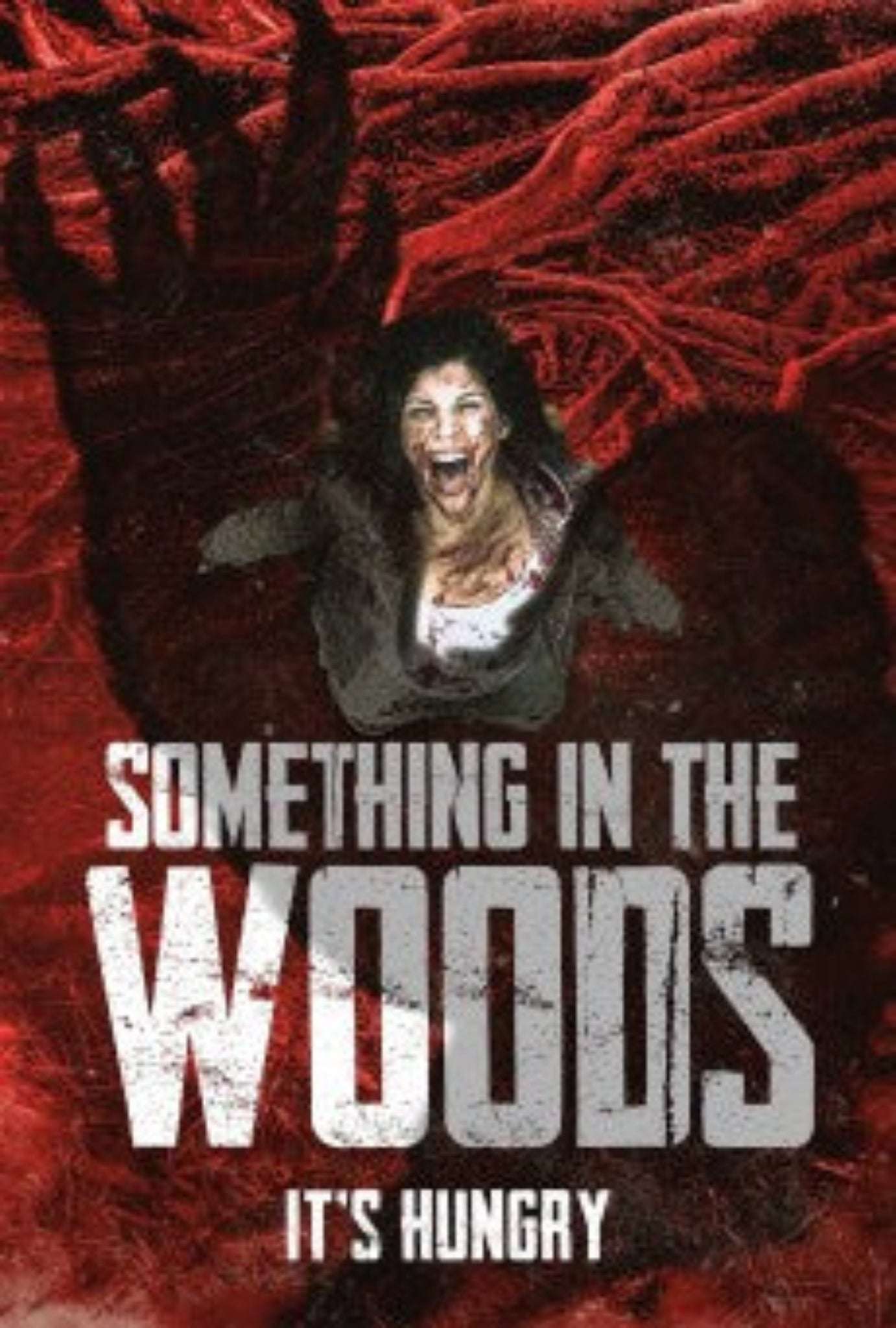 Something in the Woods 2022 1h 16m
